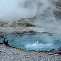 Bubbling Hot Springs, Yellowstone