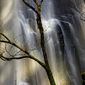 Details of Double Falls, Oregon