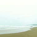 Oregon Coast Minimal